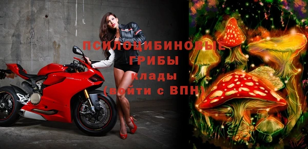 COCAINE Карпинск