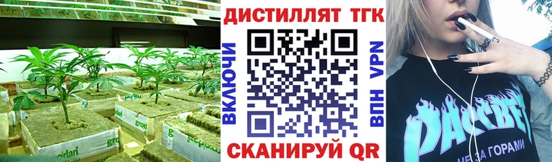 Купить закладки  Новоузенск  Дистиллят ТГК Wax 