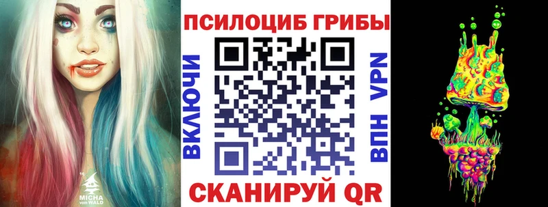 Галлюциногенные грибы GOLDEN TEACHER  Купить где  Новоузенск 